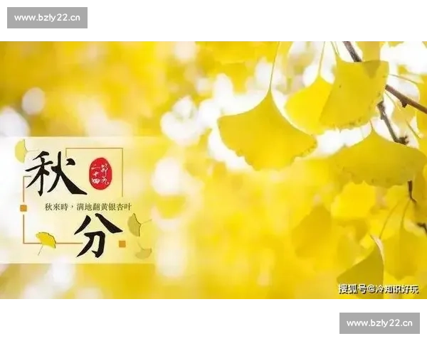 以秋分为界感悟四时轮转体味自然平衡中蕴含的人生智慧